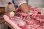 سازمان دامپزشکی: حجم فروش گوشت اسب و الاغ در کشور نگران کننده نیست